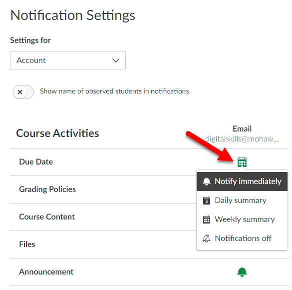 mycanvas-notification-options.png