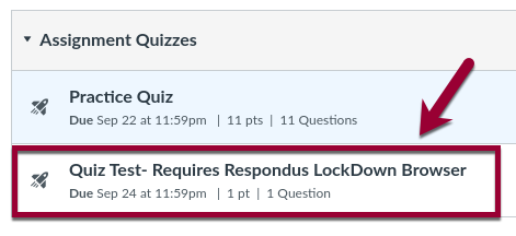 1-respondus quiz.png